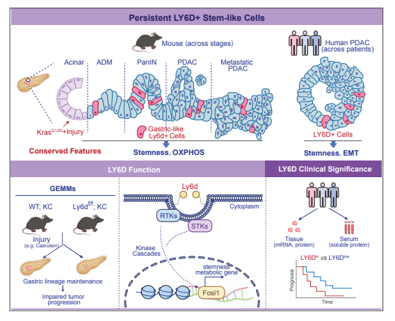 719053b5d5d99281fcf74b26ac5858b6.png image.png